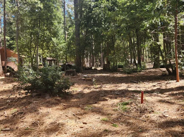 11254 Winding Way, Clipper Mills, CA 95930