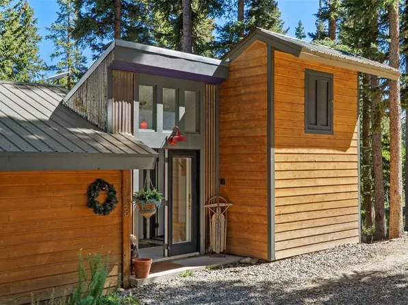 1628 Quartzville Rd, Alma, CO 80420