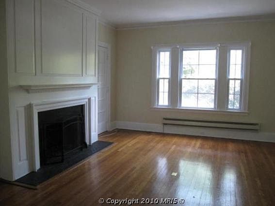 Working Fireplace