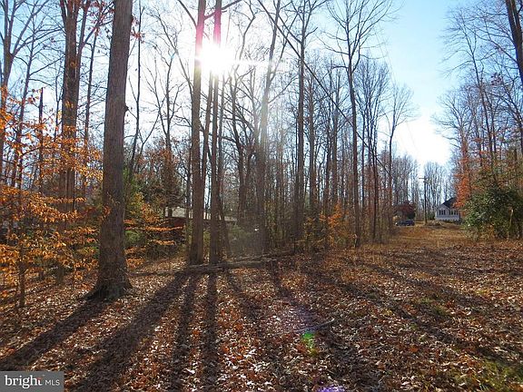 view into lot from back left corner