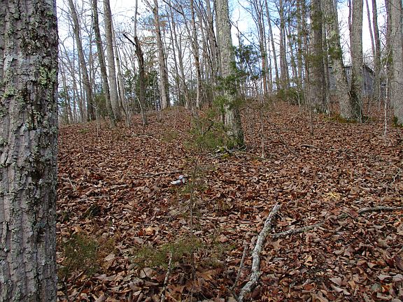 4th image of 0 Split Lake Dr Lot 43