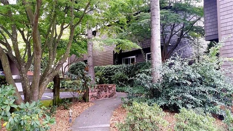 1411 Casa Buena Dr APT 24 photo 1