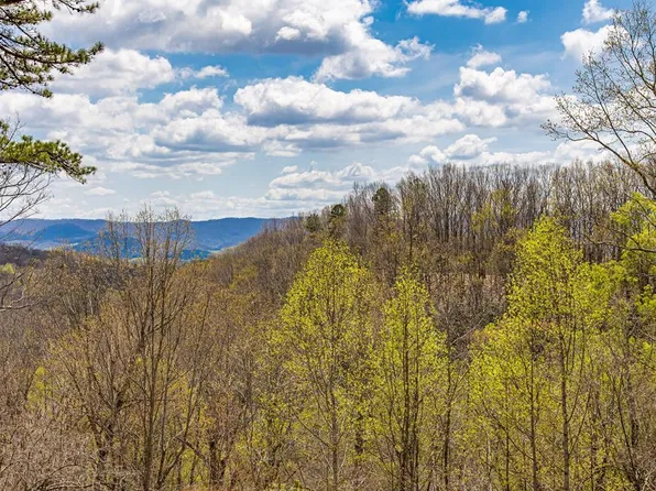 760 Walkers Creek Rd, Marion, VA 24354