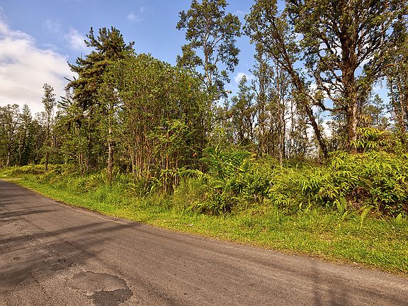 4th image of Hibiscus St Lot 7308