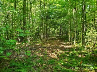 0 Staton Ridge Rd, Saluda, NC 28773