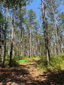 2690 Hardaway Rd, Chattahoochee, FL, 32324