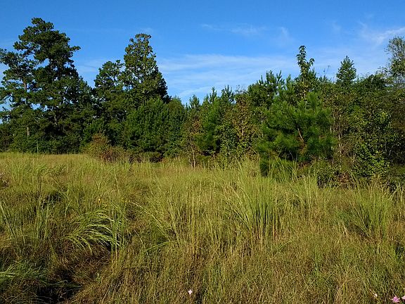 Pasture