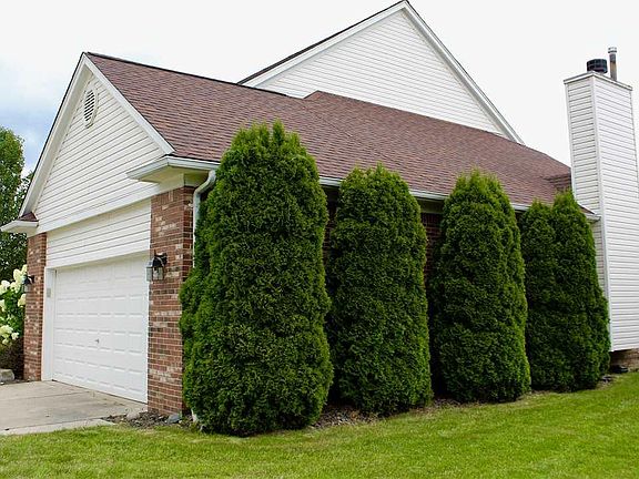 5th image of 36182 Saint Clair Dr
