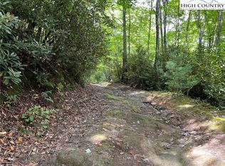 0 Lyons Rd, Roaring Gap, NC 28668