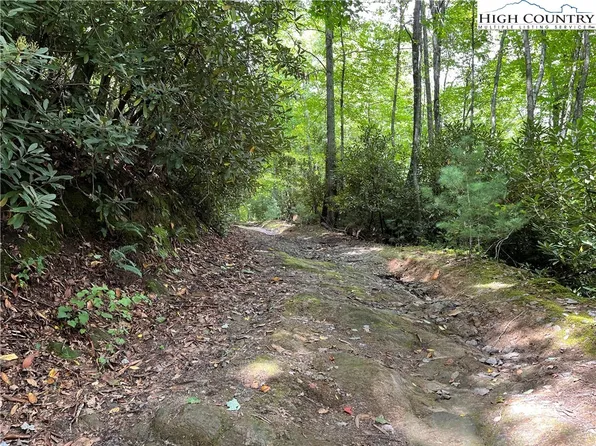 000 Lyons Road, Roaring Gap, NC 28668