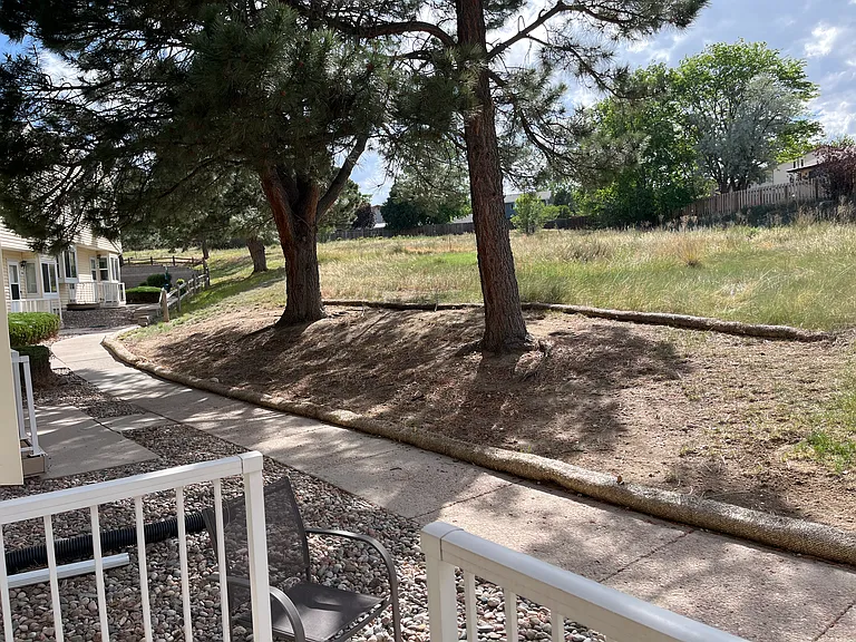 3124 Vail Pass Dr — Photo 3