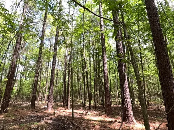 E Petros Rd, Pearl, MS 39208