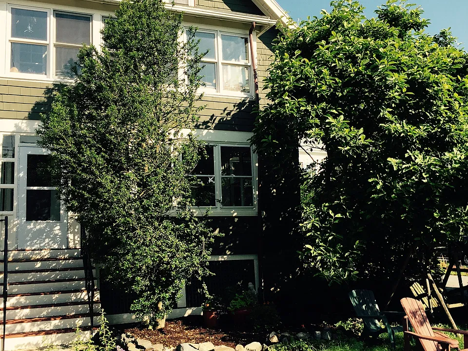 front yard