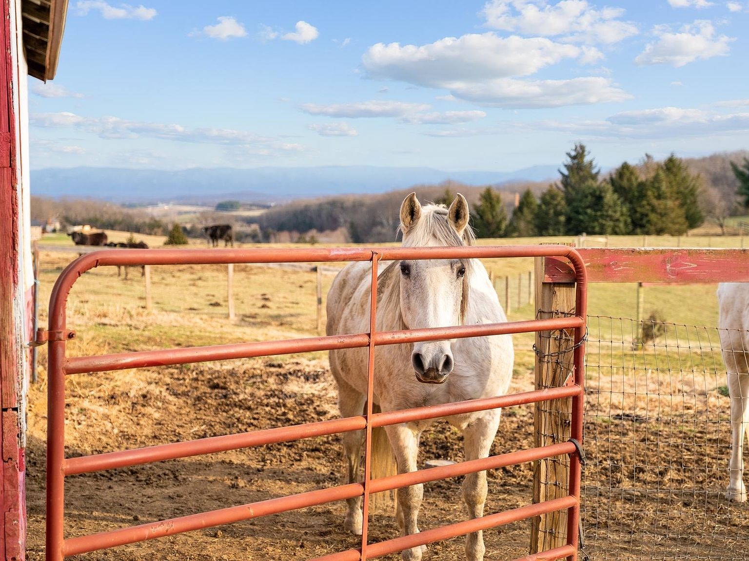 217 Dam Town Rd, Fort Defiance, VA 24437 Zillow