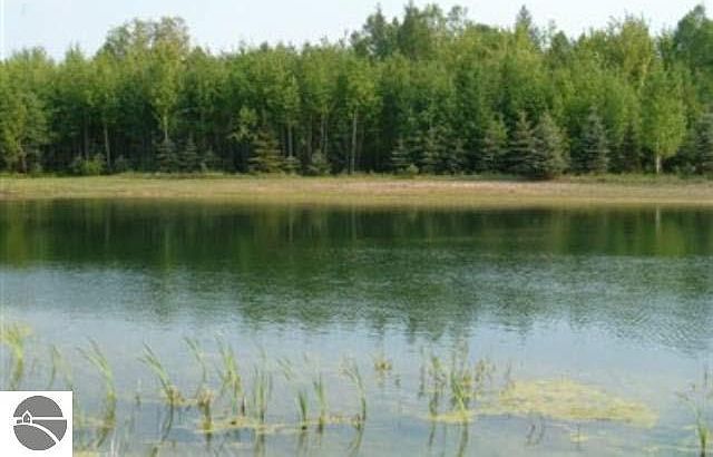 2nd image of 0 W Ora Lake Rd