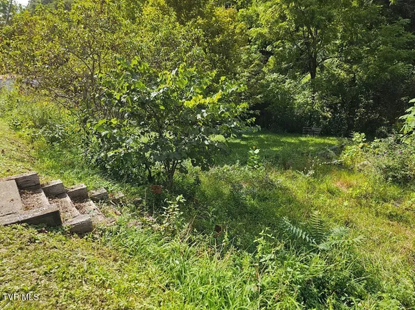 8835 Maple Rd, Pound, VA 24279