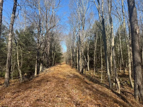 0 Snyder Rd, Muncy Valley, PA 17758