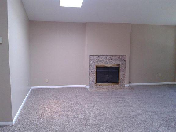 Living room fireplace
