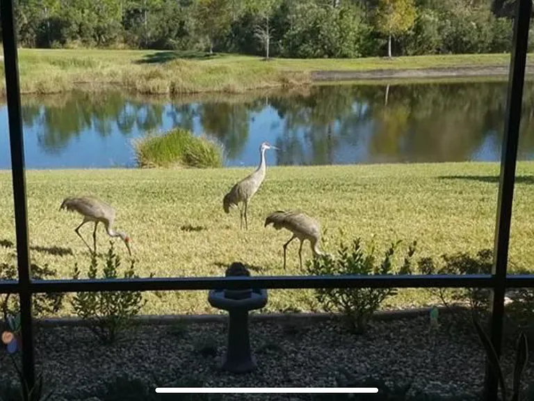 Enjoy nature at your back door.