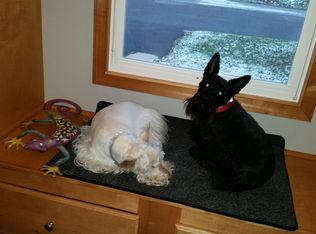 343 Metoxet St, Ridgway, PA 15853