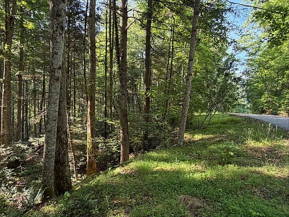 5th image of White Oak Creek Rd