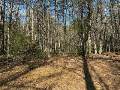 1051 Panther Creek Rd, Sneedville, TN, 37869