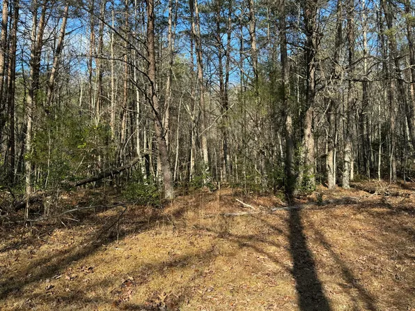 1051 Panther Creek Rd, Sneedville, TN 37869