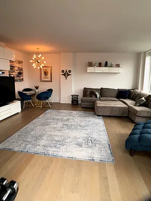 Rented by Extell Marketing Group LLC | media 29