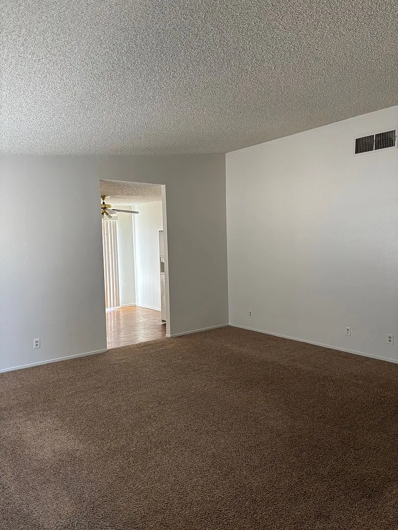 449 Ash — Photo 4