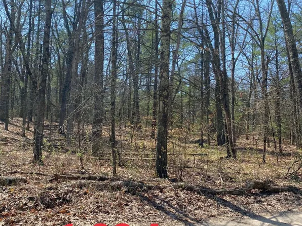 16th St, Twin Lake, MI 49457