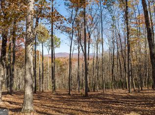 19R Settlement Trl, Ellijay, GA 30536