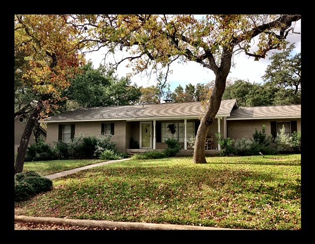 Huge treed lot