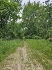0 Cayuga Trl, Evart, MI, 49631