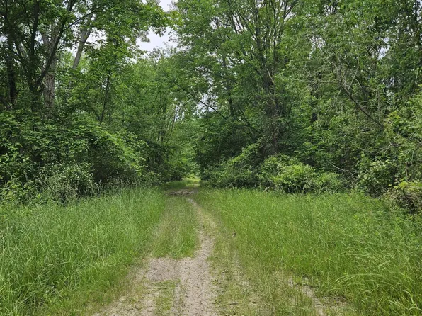 0 Cayuga Trl, Evart, MI 49631