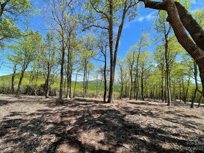 0 Trail Lot 47, Hendersonville, NC, 28792
