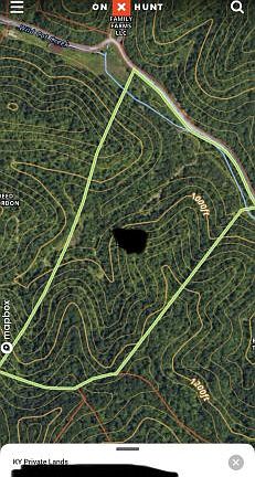 2nd image of 9991 Big Wildcat Rd