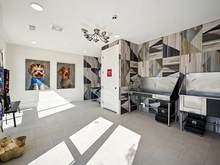 Pet Spa