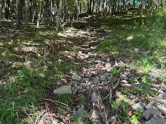 4th image of Tbd Todd Mountain Road