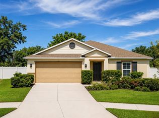 10539 Laguna Plains Dr, Riverview, FL 33578