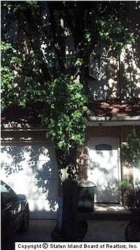 4th image of 49 Sandywood Ln