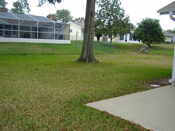 nicely shaded back yard