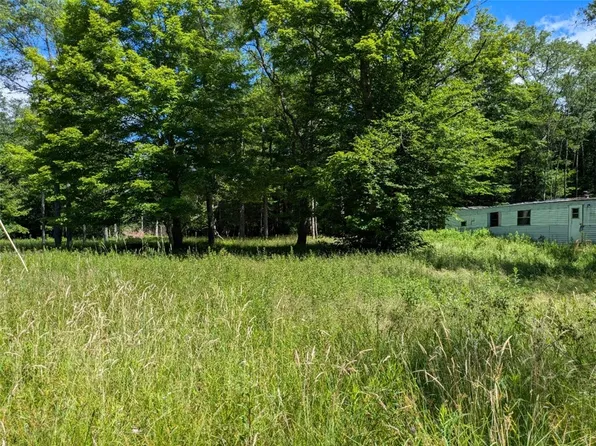 95 Sprester Rd, Cyclone, PA 16726