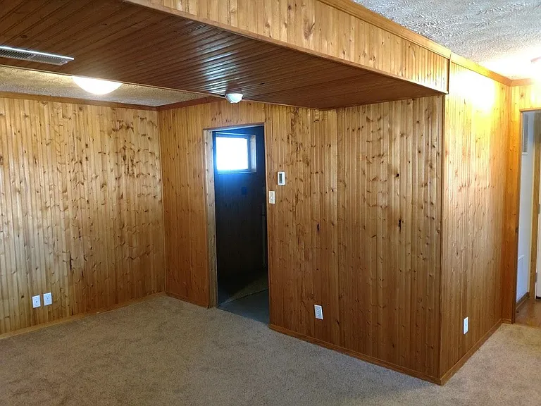 Basement living room