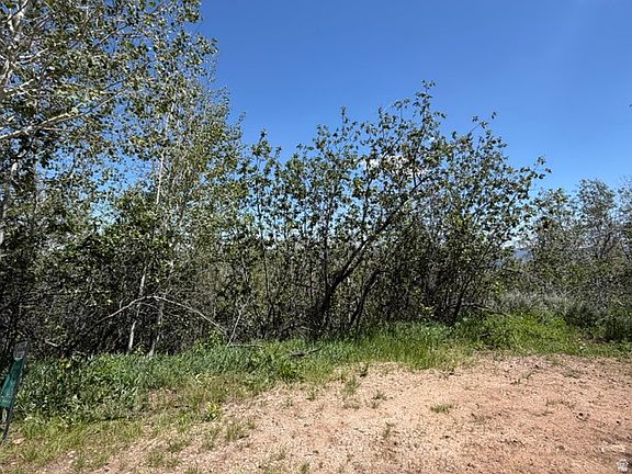 3rd image of 3438 S Lupine Cir