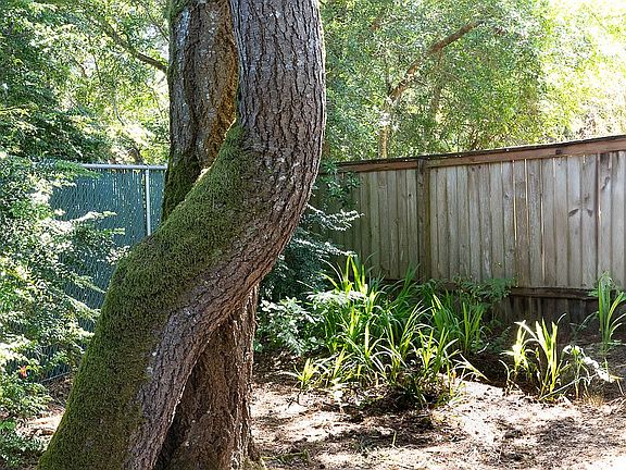 2nd image of 19 Sand Dollar Dr