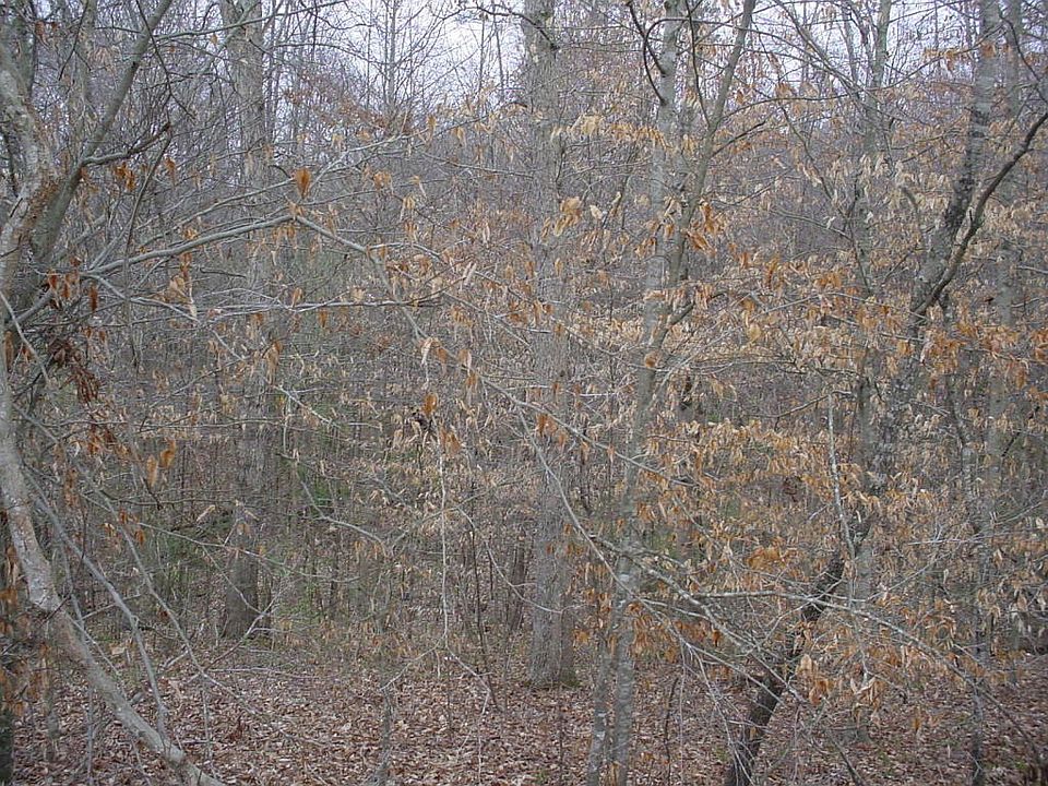 2nd image of 304 King Ln