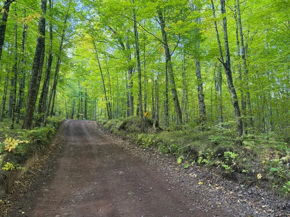 Near Cth N, Florence, WI 54121