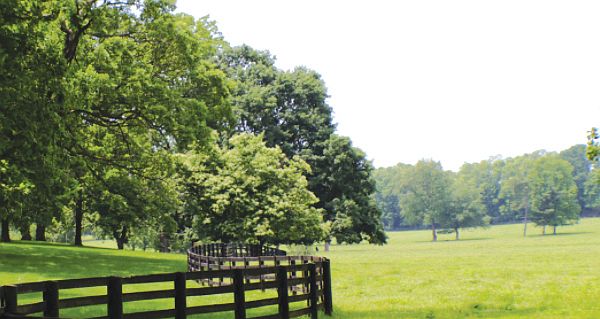 Homes Available Soon, Homestead at Milton