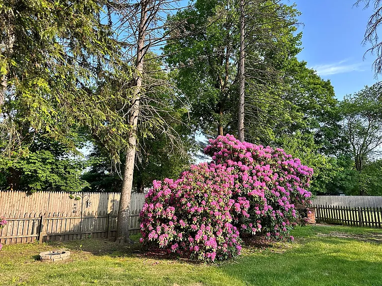 340 Granby Rd — Photo 32