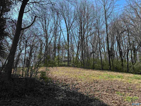 North St, Guntersville, AL 35976